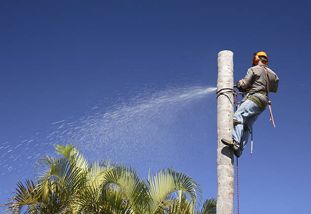 Lawn Irrigation Installation and Maintenance in Middleburg, PA